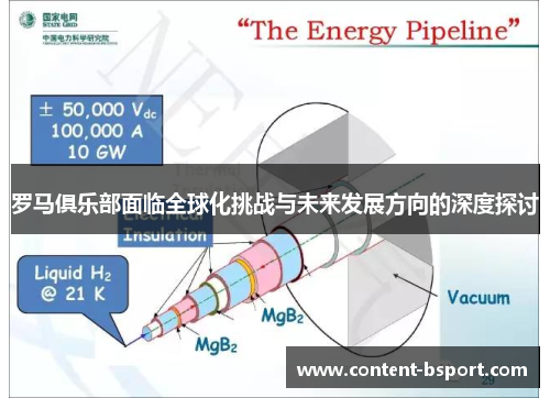 罗马俱乐部面临全球化挑战与未来发展方向的深度探讨