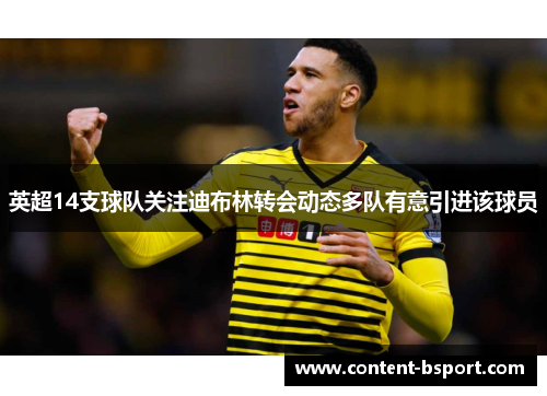 英超14支球队关注迪布林转会动态多队有意引进该球员