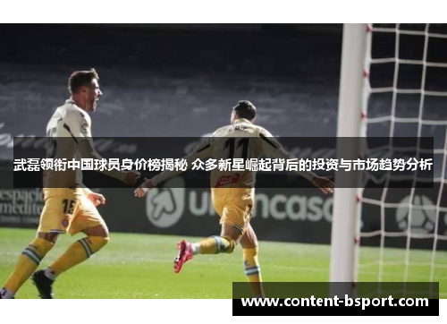 武磊领衔中国球员身价榜揭秘 众多新星崛起背后的投资与市场趋势分析