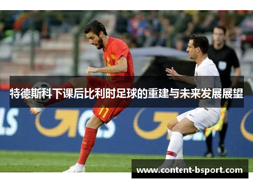 特德斯科下课后比利时足球的重建与未来发展展望